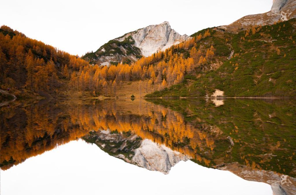 Haus Bergzauber Lejlighed Ramsau am Dachstein Værelse billede